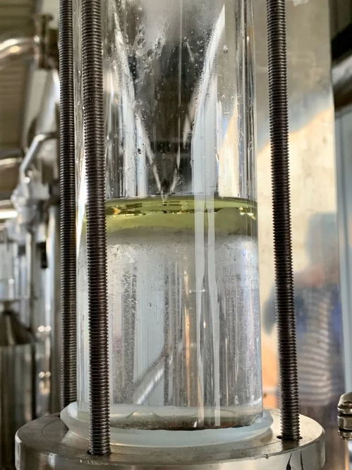 脫貧玫瑰 讓農戶日子越過越香甜